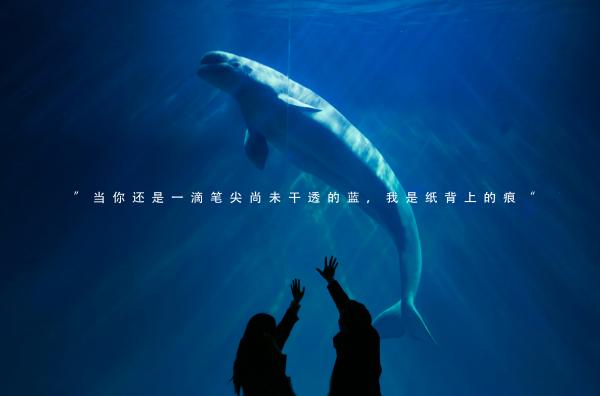 1482887239922476.jpg a6fd48c6jw1f8swbwwv4zj22ye1y8qv7.jpg