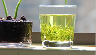 1481176517945667.png 85.png